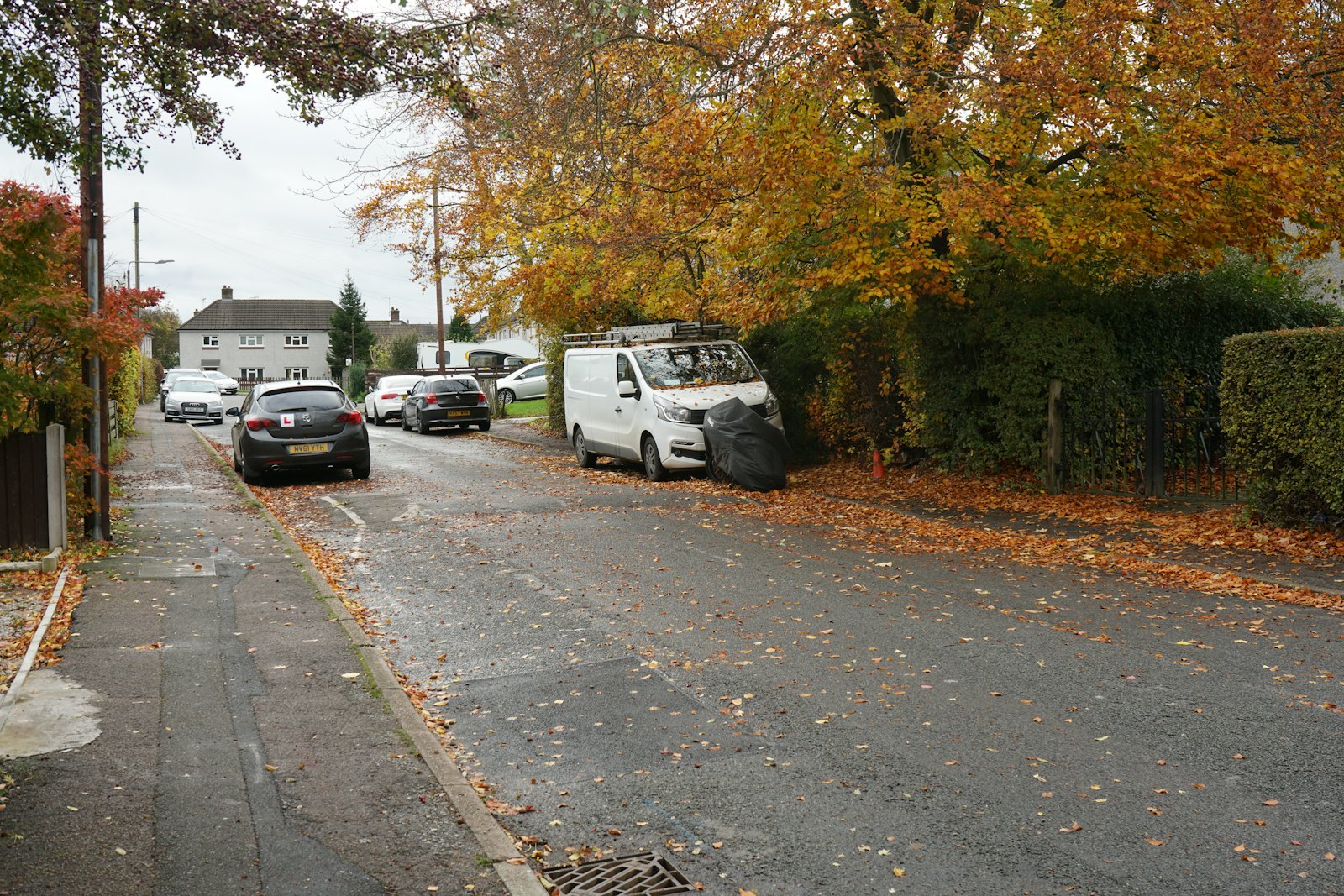 A wet residential street in Britain, with parked cars and autumn trees